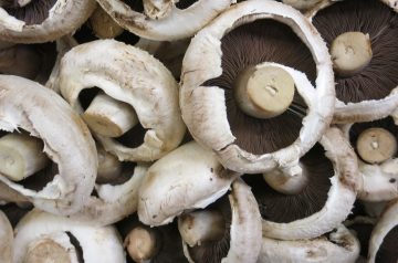 Potato-Stuffed Portobello Mushrooms