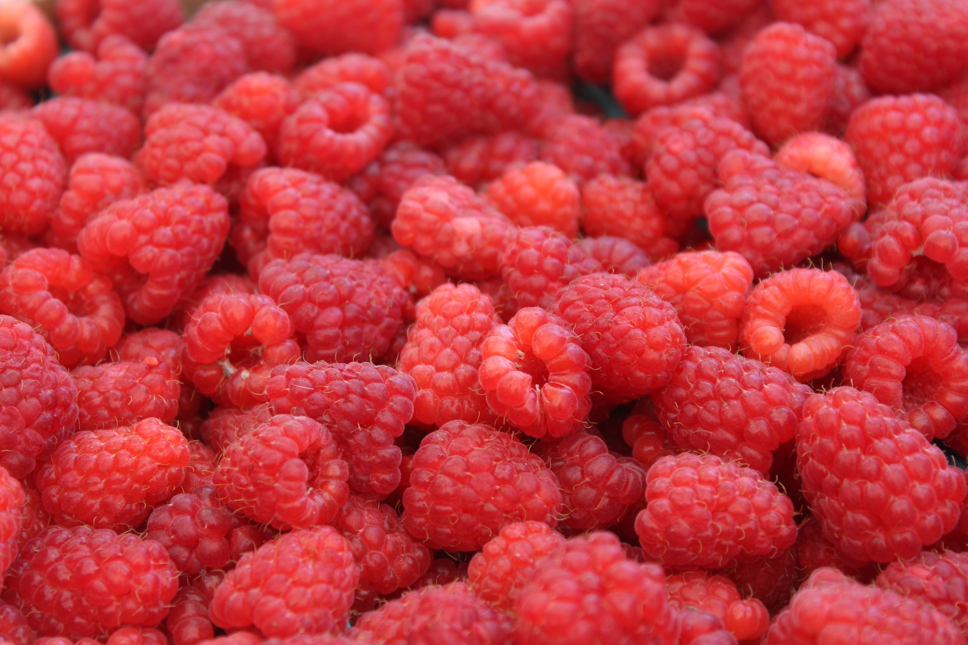 Chicken Cutlets With Fresh Raspberries