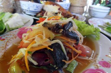 Garden Salad With an Asian Touch