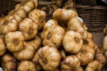 Whipped Parsnips With Roasted Garlic