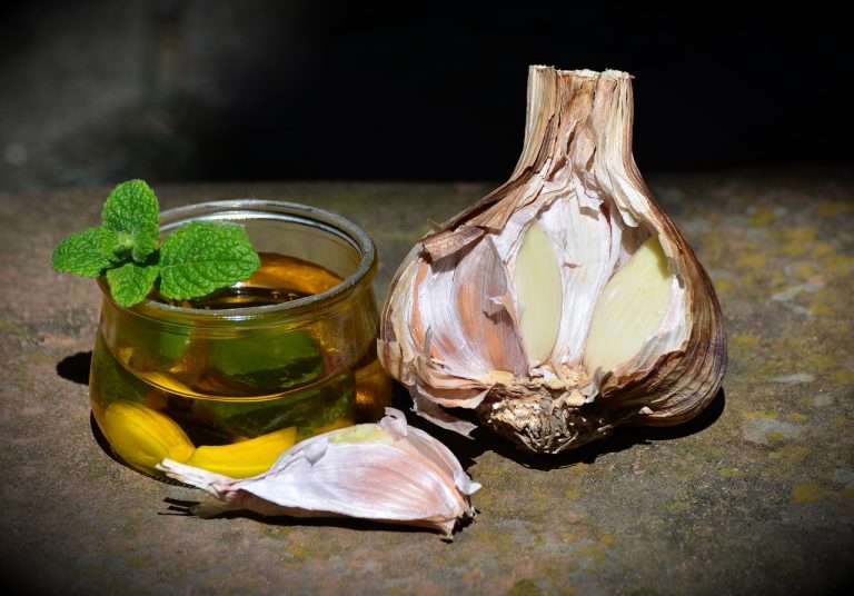 Mama Tonianns Garlic and Oil