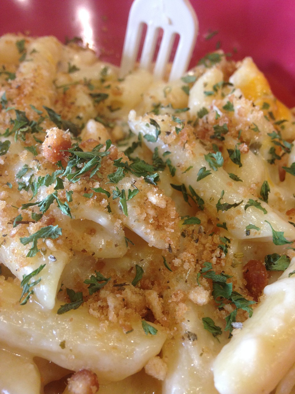 Georgia Macaroni With American Cheese