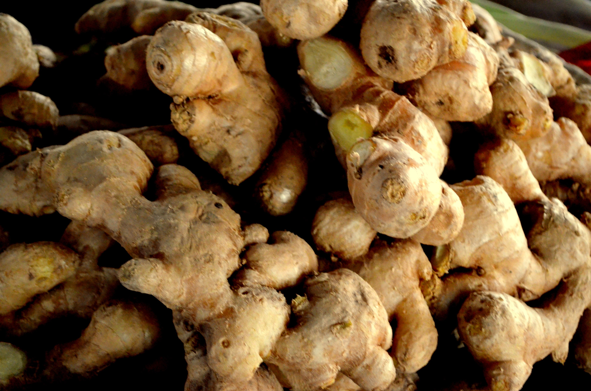 Jean's Preserved Root Ginger