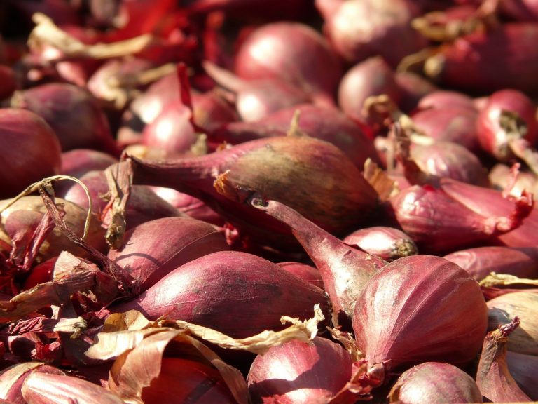 Glazed Shallots