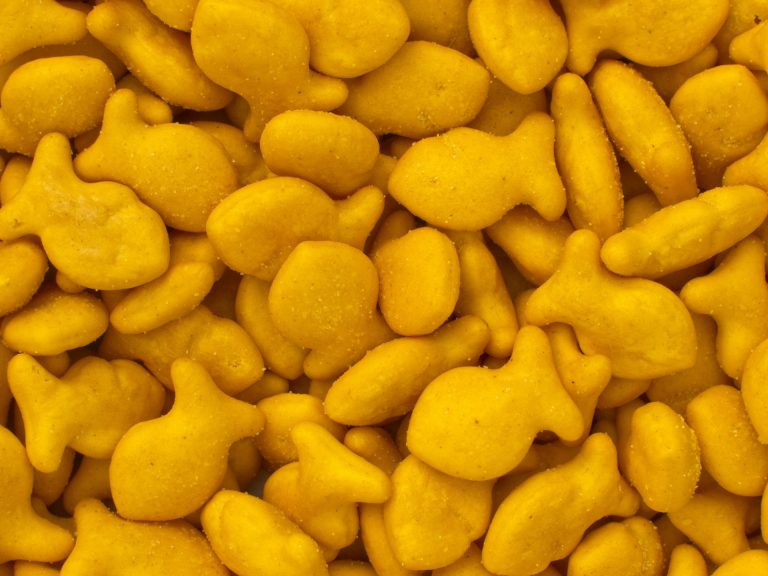 Seasoned Goldfish Crackers