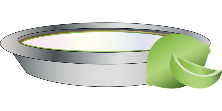Fat Free Kiwi Lime Pie