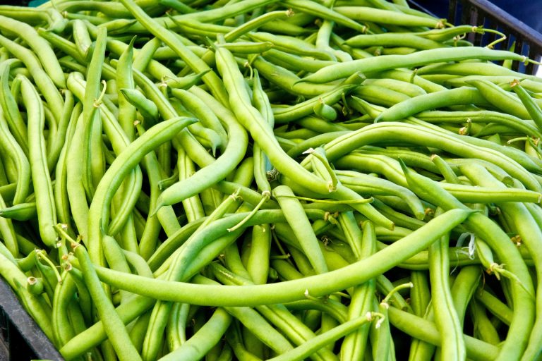 Green String Bean Soup