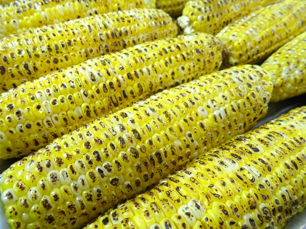 Grilled Cob Corn