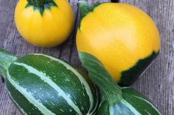 Grilled Summer Squash