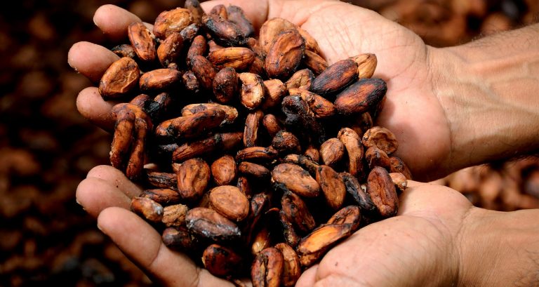 Citrus Cocoa
