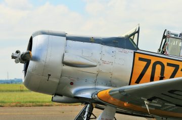 Kittencal's Harvard Beets