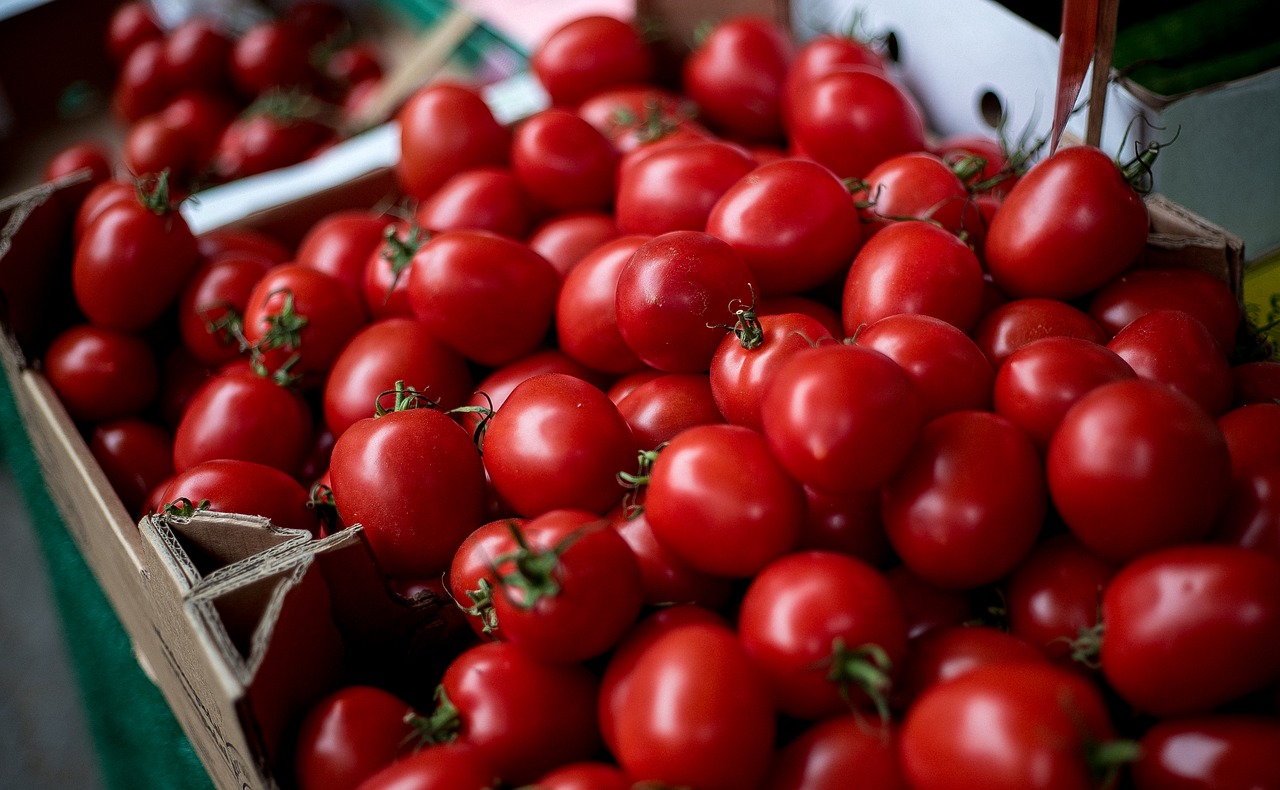 Harvest Tomato Tart