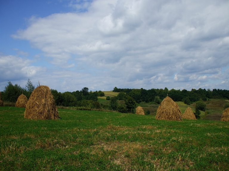 Diet Haystacks