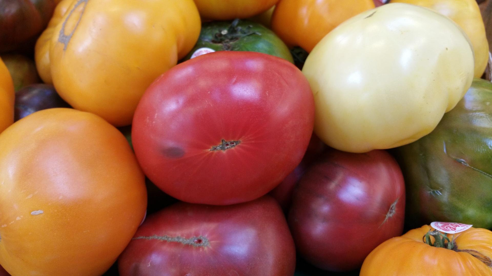 Heirloom Tomato Gratin