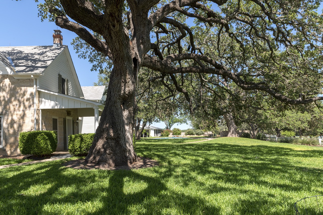 Lbj Ranch BBQ Sauce