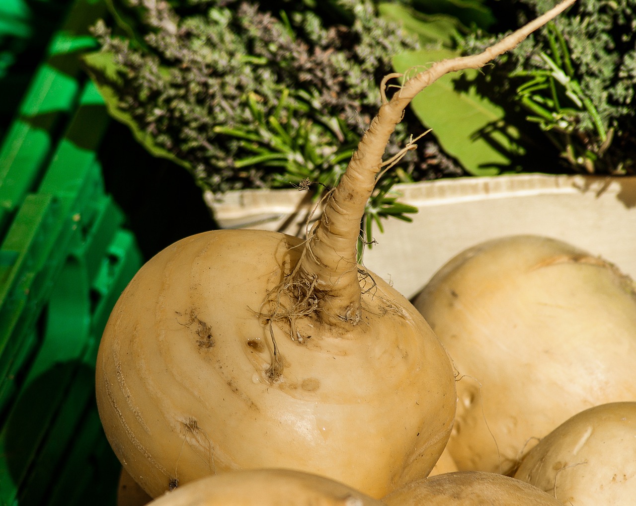 Italian Turnip Soup Mellowed With Rice