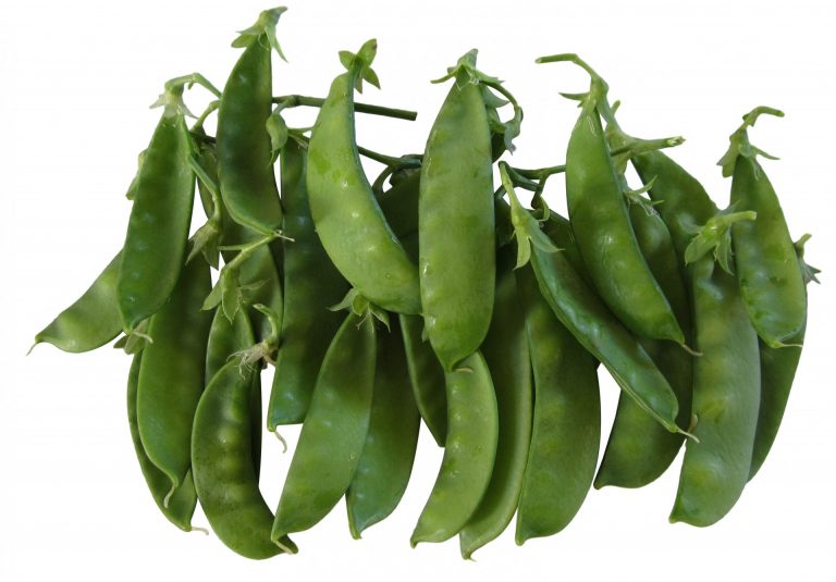 Izzy's Snow Peas