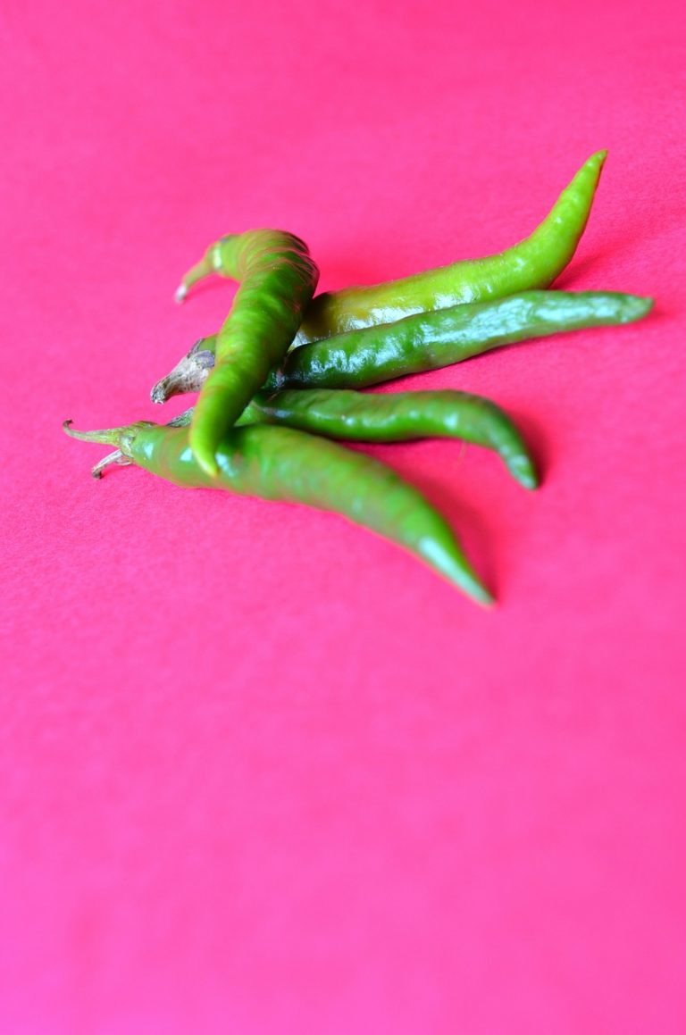 Jalapeno Pepper Poppers