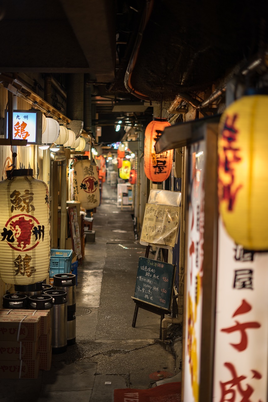 Yakitori Domburi