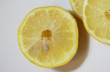 The Best Ever Lemon Tart