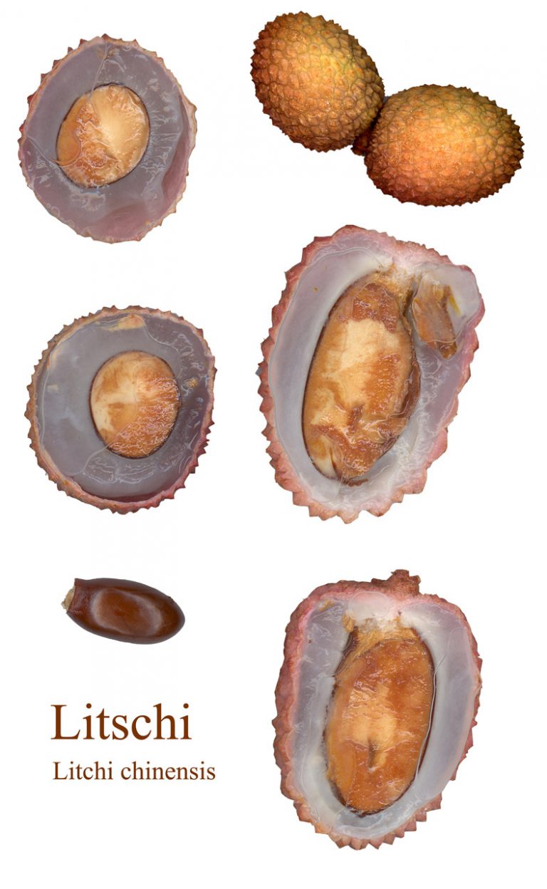 Lychee Salsa