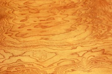 Mahogany Glazed Chicken