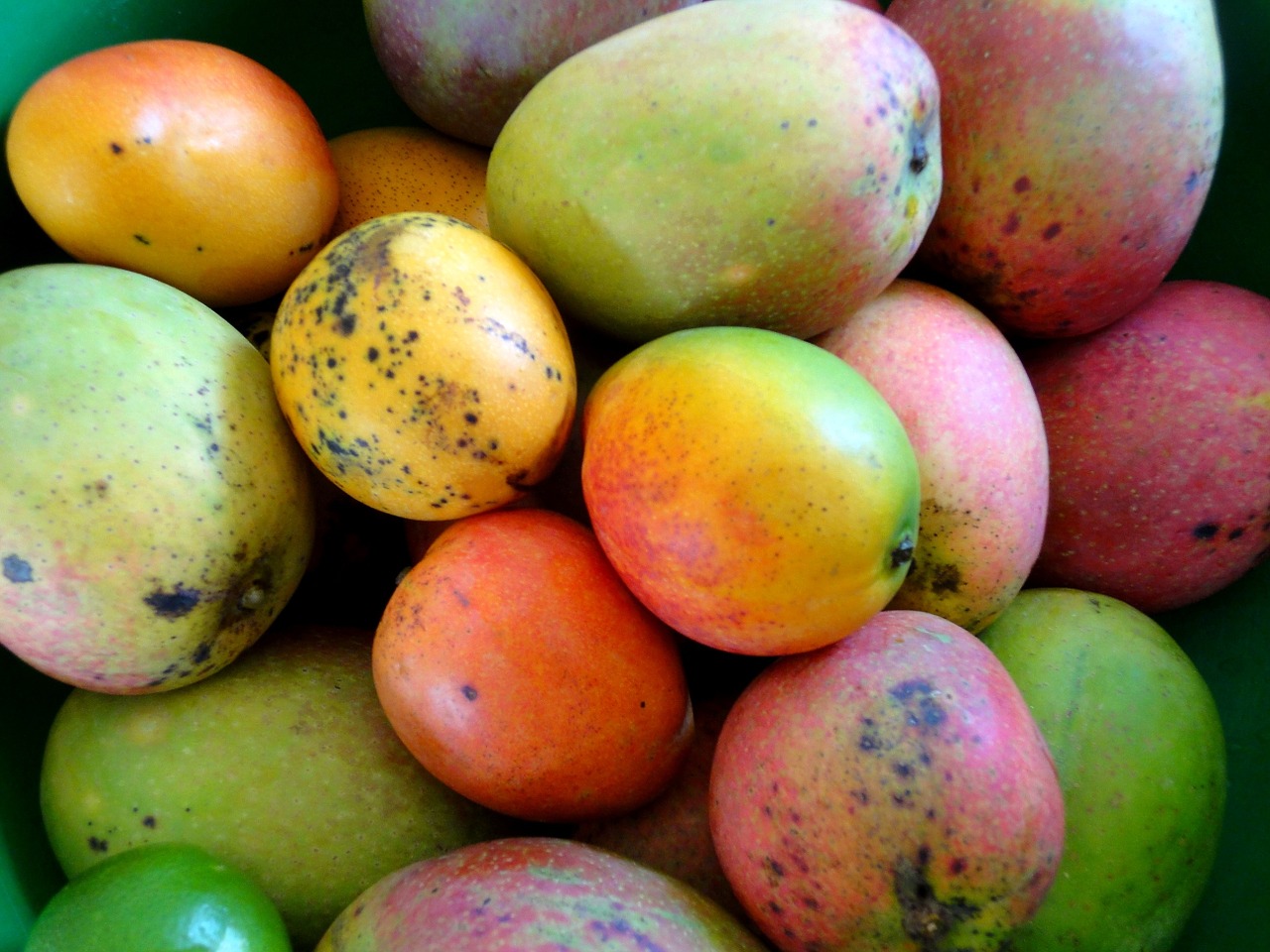 Mango and Papaya Smoothie