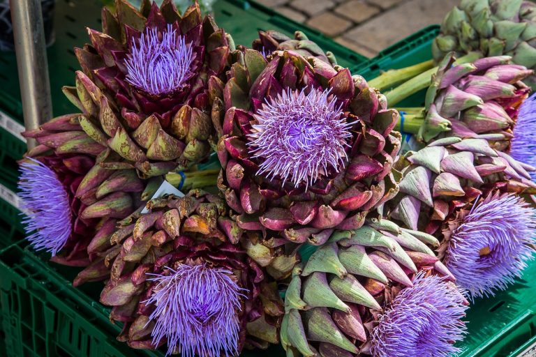 Marinated Artichoke Hearts