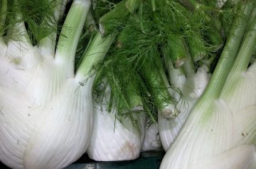 Mean Chef's Shaved Fennel