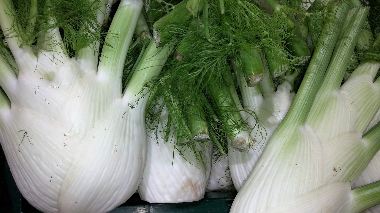 Mean Chef's Shaved Fennel