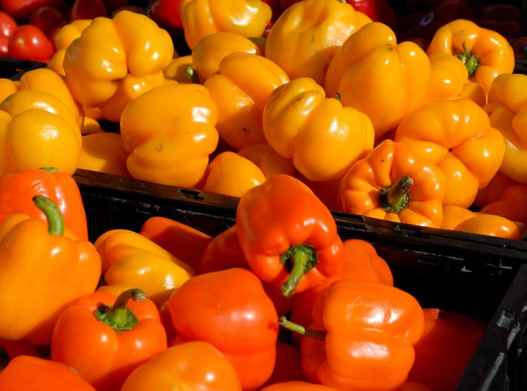 Mini Sweet Bell Peppers