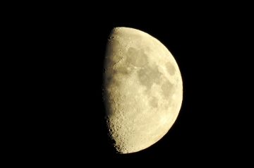 Good Night Moon Milk