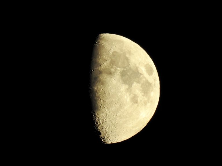 Good Night Moon Milk