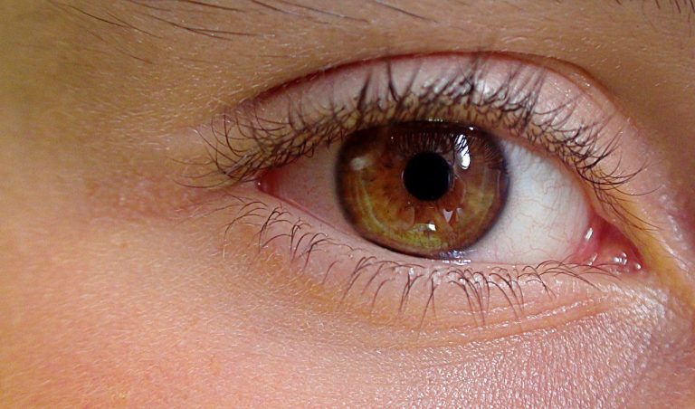 Morning Bright Eye
