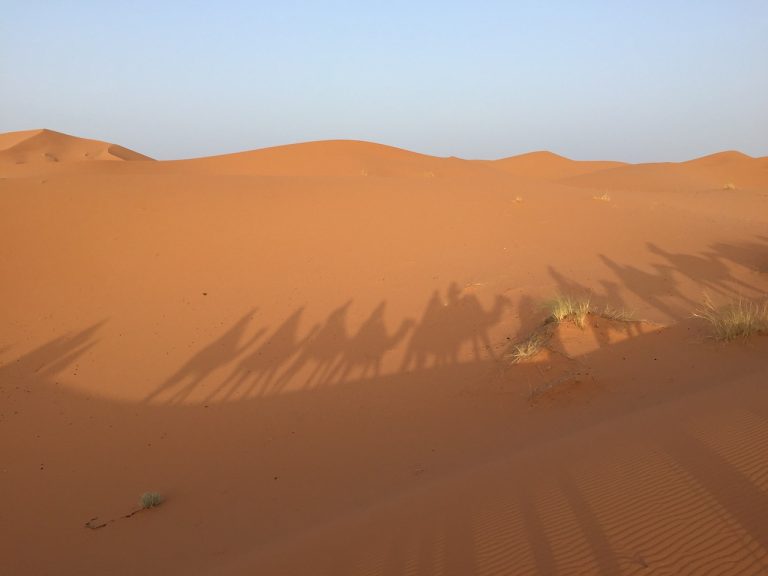 Moroccan Desert Salad