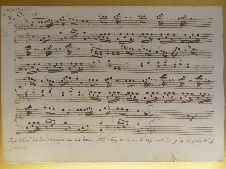 Mozart's Fruit Melody (Salad)