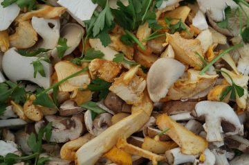 Mushroom and Swiss Chicken Skillet