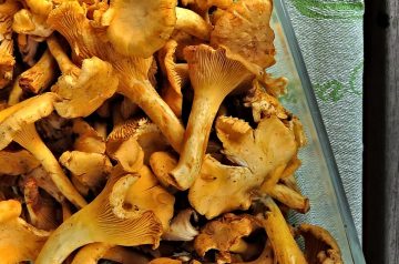 Mushrooms Oriental