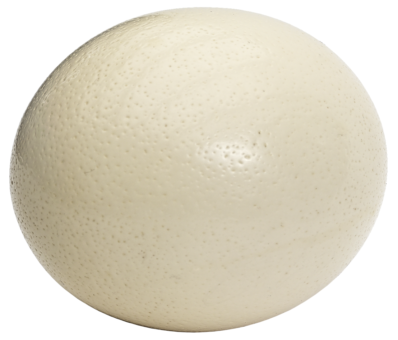 New York Egg Cream