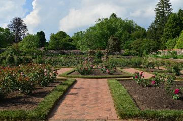North Carolina Style Tempeh Barbecue