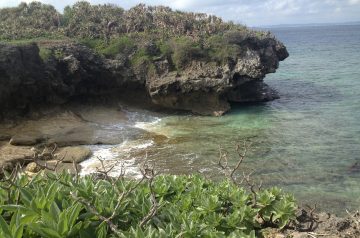 Southern Comfort Jambalaya