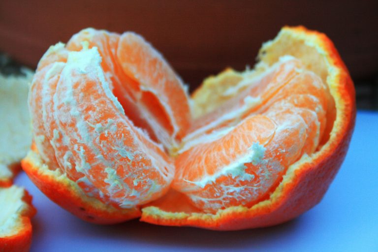 Madame's Orange or Tangerine Peel Beef