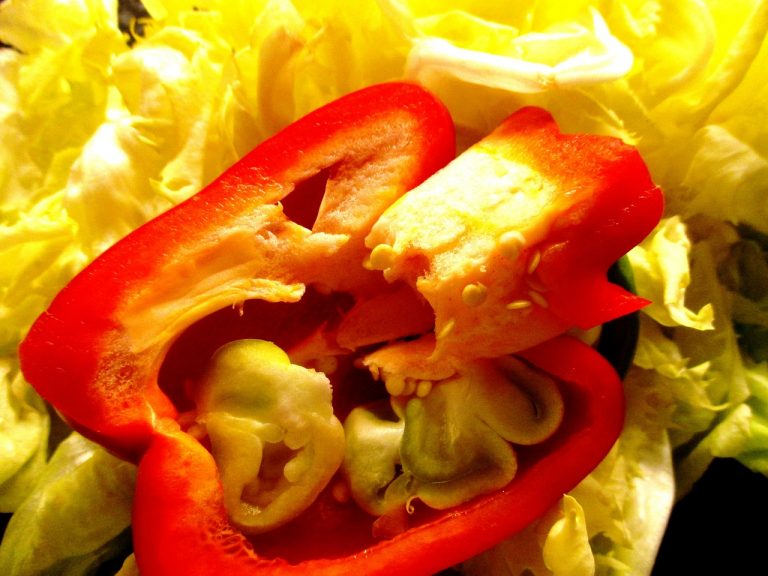 orange and endive salad
