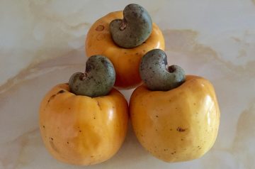 Orange Cashew Chicken