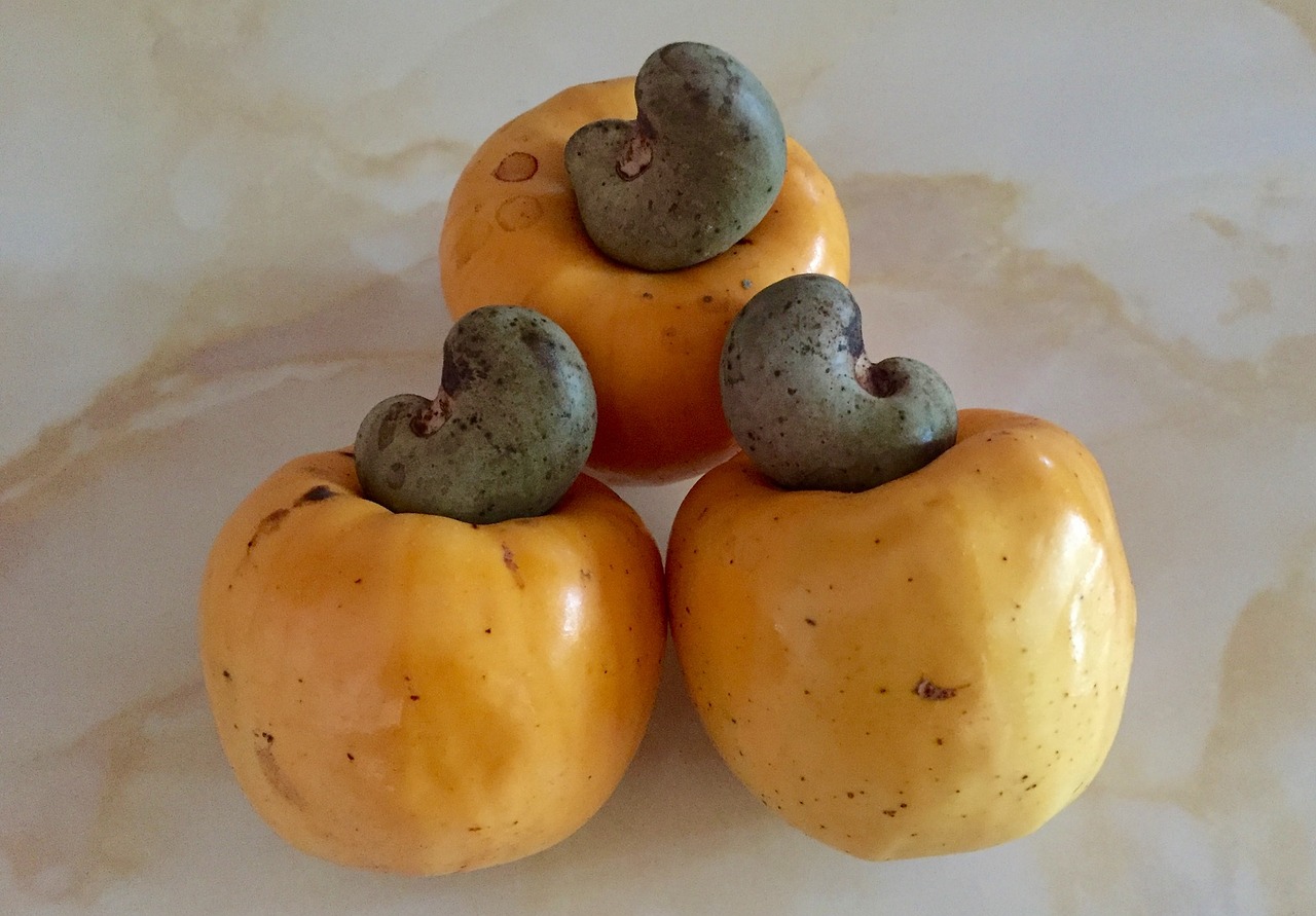 Orange Cashew Chicken