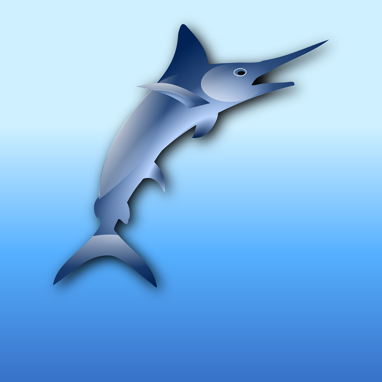 Pacific Blue Marlin (Kajiki)