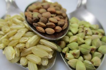 Pakistani Rice with Lentils and Nut Sauce