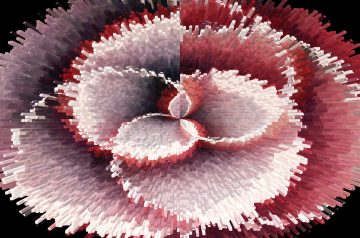 Parmesan Crusted Broiled Scallops