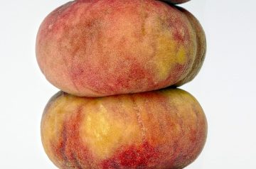Peach Custard