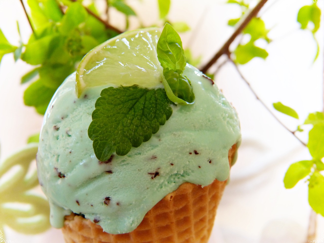 Peppermint Ice Cream (from Cooking Light)